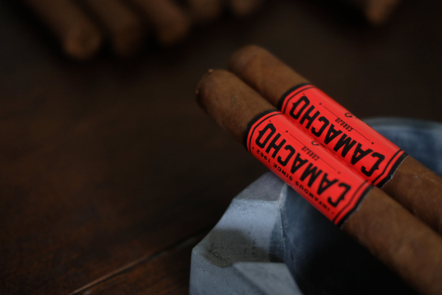 Camacho Corojo