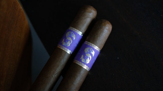 Matilde Limited Exposure #2