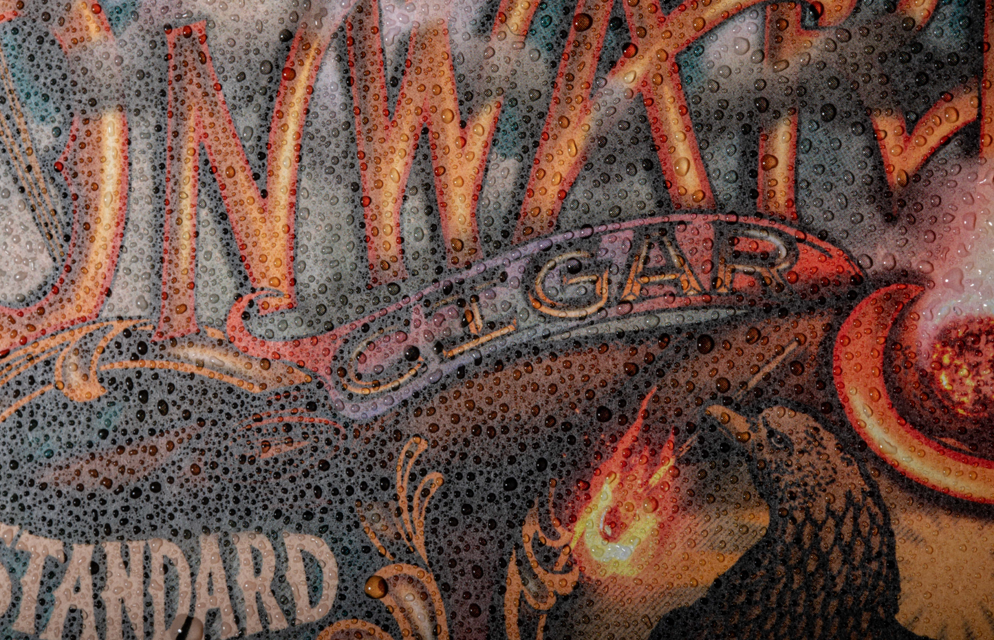 Onward by 1924us and S+T