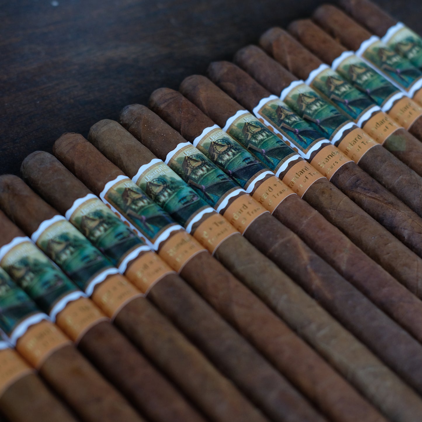 Letters of Transit: Phuket, Thailand