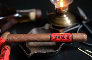 Camacho Corojo