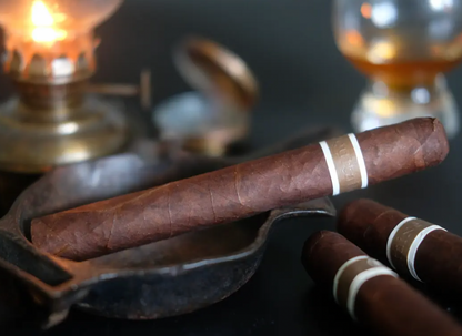 RoMa Craft CroMagnon Aquitaine