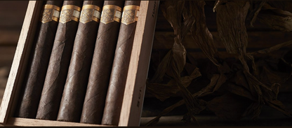 Rodriguez Series 84 Maduro