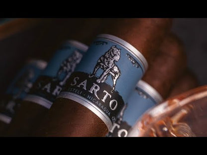 Warped Sarto